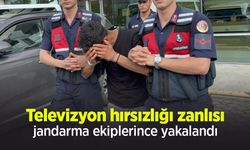 Televizyon hırsızlığı zanlısı, jandarma ekiplerince yakalandı