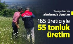 Salep üretim alanlarında denetim: 165 üreticiyle 55 tonluk üretim