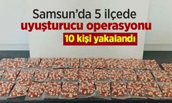 Samsun’da 5 ilçede uyuşturucu operasyonu: 10 kişi yakalandı