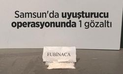 Samsun'da uyuşturucu operasyonunda 1 gözaltı