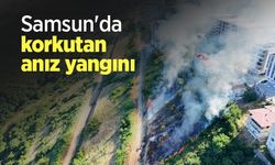 Samsun'da korkutan anız yangını