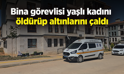 Bina görevlisi yaşlı kadını öldürüp altınlarını çaldı