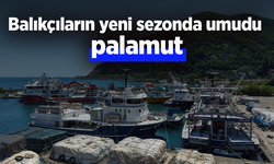 Balıkçıların yeni sezonda umudu palamut