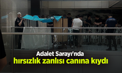 Adalet Sarayı'nda hırsızlık zanlısı canına kıydı