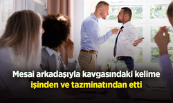 Mesai arkadaşıyla kavgasındaki kelime işinden ve tazminatından etti