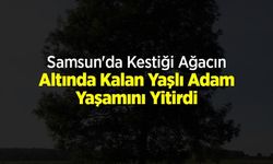 Samsun'da Kestiği Ağacın Altında Kalan Yaşlı Adam Yaşamını Yitirdi