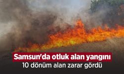 Samsun'da otluk alan yangını: 10 dönüm alan zarar gördü