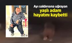 Ayı saldırısına uğrayan yaşlı adam hayatını kaybetti