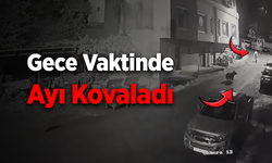 Vatandaşı ayı kovaladı, o anlar kameraya yansıdı