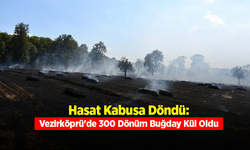 Vezirköprü'de Tarla Yangını: 300 Dönüm Ekili Alan Zarar Gördü