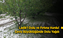 Ladik’i Dolu ve Fırtına Vurdu! Ceviz Büyüklüğünde Dolu Yağdı, Ağaç Devrildi