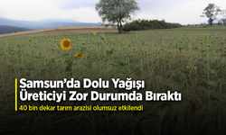Samsun’da dolu afetinde 40 bin dekar tarım arazisi olumsuz etkilendi