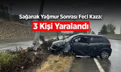 Kontrolden Çıkan Otomobil Aydınlatma Direğine Çarptı