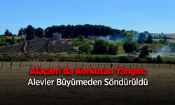 Alaçam'da arazi yangını korkuttu