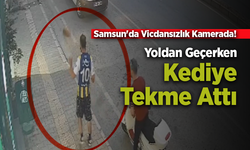 Samsun'da Kediye Tekme Attı! O Anlar Güvenlik Kamerasında