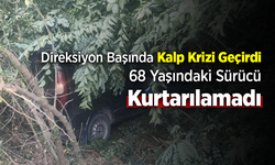 Samsun'da Kalp Krizi Geçiren Kamyonet Sürücüsü Kazada Hayatını Kaybetti