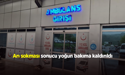 Bahçedeki Mesai Hastanede Bitti: Arı Alerjisi Ölümle Burun Buruna Getirdi