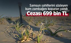 Samsun sahillerini süsleyen kum zambağını koparan yandı: Cezası 699 bin TL