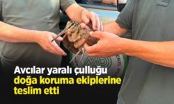 Avcılar yaralı çulluğu doğa koruma ekiplerine teslim etti