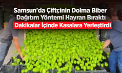 Samsun'da Çiftçinin Dolma Biber Dağıtım Yöntemi Hayran Bıraktı
