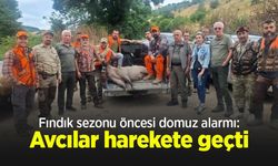 Fındık sezonu öncesi domuz alarmı: Avcılar harekete geçti