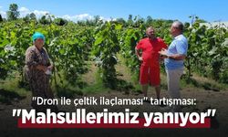 "Dron ile çeltik ilaçlaması" tartışması: "Mahsullerimiz yanıyor"