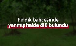 Fındık bahçesinde yanmış halde ölü bulundu