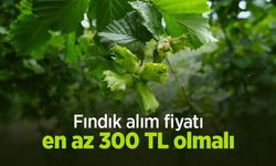 Aydemir: "Fındık alım fiyatı en az 300 TL olmalı"