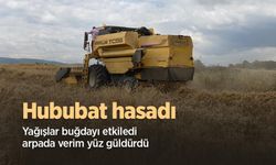 Hububat hasadı: Yağışlar buğdayı etkiledi, arpada verim yüz güldürdü