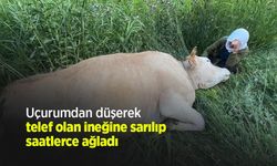Uçurumdan düşerek telef olan ineğine sarılıp saatlerce ağladı