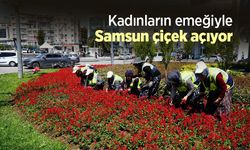 Kadınların emeğiyle Samsun çiçek açıyor