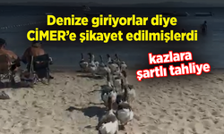Denize giriyorlar diye CİMER’e şikayet edilmişlerdi