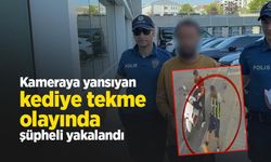 Kameraya yansıyan kediye tekme olayında şüpheli yakalandı
