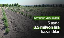 Köylünün yüzü güldü! 6 ayda 3,5 milyon lira kazandılar