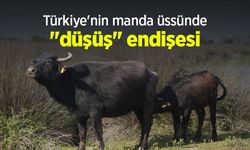 Türkiye'nin manda üssünde "düşüş" endişesi