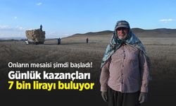 Onların mesaisi şimdi başladı! Günlük kazançları 7 bin lirayı buluyor