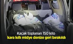Kaçak toplanan 150 kilo kara kıllı midye denize geri bırakıldı
