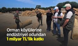 Orman köylülerine endüstriyel odundan 1 milyar TL'lik katkı