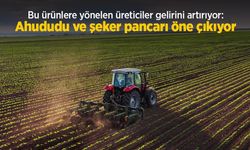 Bu ürünlere yönelen üreticiler gelirini artırıyor: Ahududu ve şeker pancarı öne çıkıyor