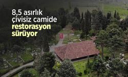 8,5 asırlık çivisiz camide restorasyon sürüyor