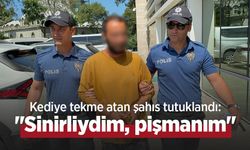 Kediye tekme atan şahıs tutuklandı: "Sinirliydim, pişmanım"