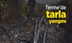 Terme'de tarla yangını: Yaşlı kadın kundaklama iddiasıyla şikayetçi oldu
