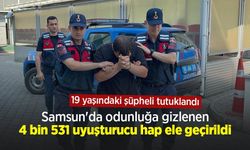 Samsun'da odunluğa gizlenen 4 bin 531 uyuşturucu hap ele geçirildi: 19 yaşındaki şüpheli tutuklandı