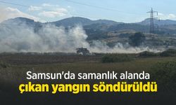 Samsun'da samanlık alanda çıkan yangın söndürüldü