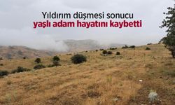 Yıldırım düşmesi sonucu yaşlı adam hayatını kaybetti