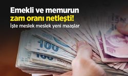 Emekli ve memurun zam oranı netleşti! İşte meslek meslek yeni maaşlar