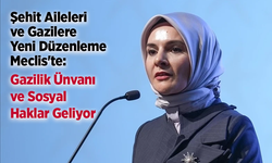 Şehit Aileleri ve Gazilere Yeni Düzenleme Meclis'te: Gazilik Ünvanı ve Sosyal Haklar Geliyor