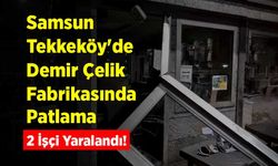 Samsun Tekkeköy'de Demir Çelik Fabrikasında Patlama: 2 İşçi Yaralandı!
