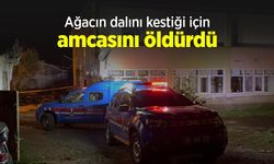 Ağacın dalını kestiği için amcasını öldürdü