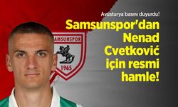 Avusturya basını duyurdu! Samsunspor'dan Nenad Cvetković için resmi hamle!